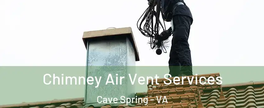  Chimney Air Vent Services Cave Spring - VA