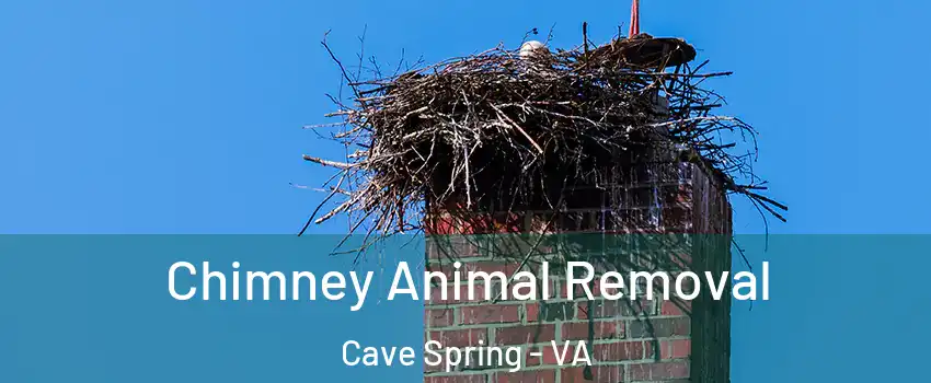  Chimney Animal Removal Cave Spring - VA