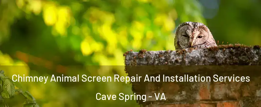  Chimney Animal Screen Repair And Installation Services Cave Spring - VA