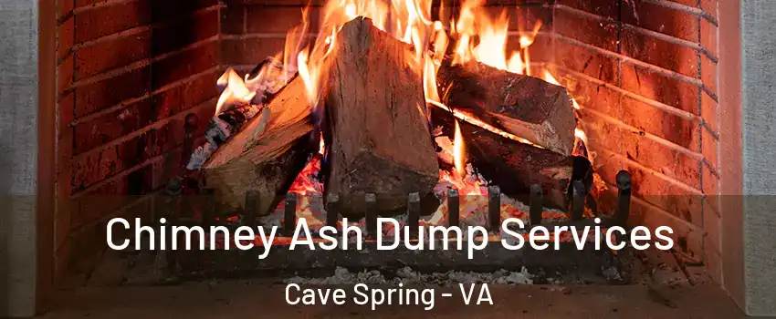  Chimney Ash Dump Services Cave Spring - VA