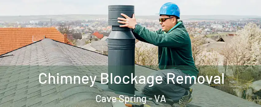  Chimney Blockage Removal Cave Spring - VA