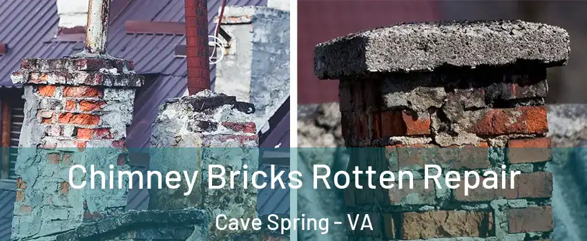  Chimney Bricks Rotten Repair Cave Spring - VA