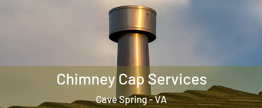  Chimney Cap Services Cave Spring - VA