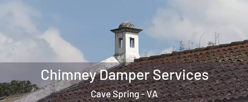  Chimney Damper Services Cave Spring - VA