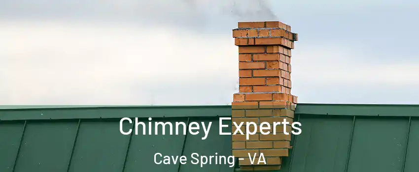  Chimney Experts Cave Spring - VA