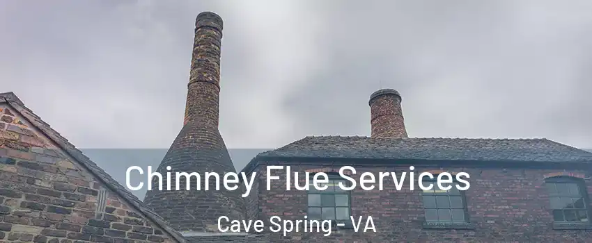  Chimney Flue Services Cave Spring - VA