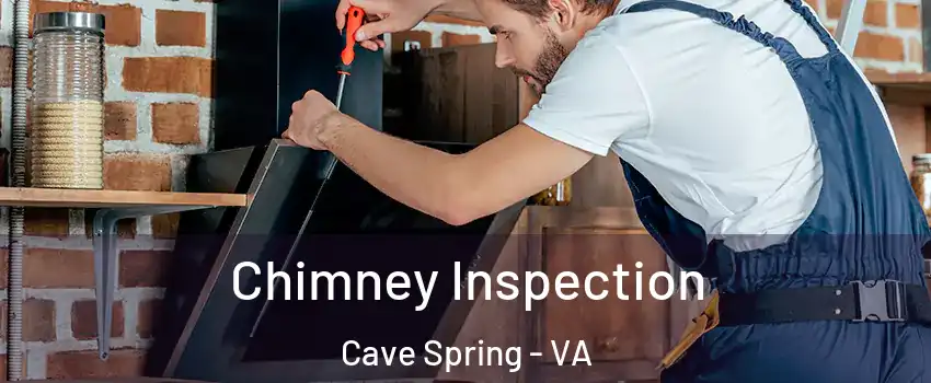  Chimney Inspection Cave Spring - VA