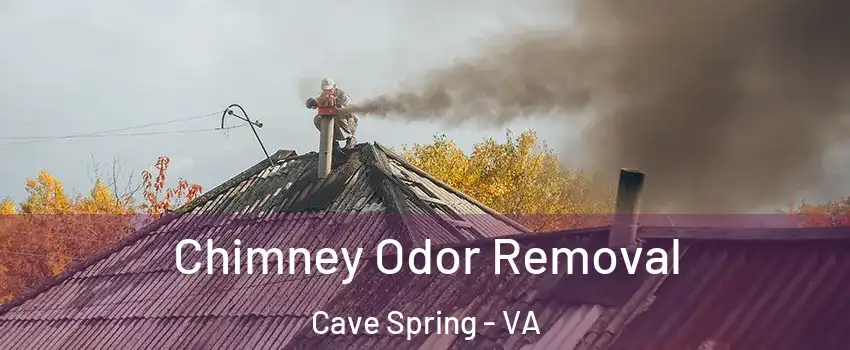 Chimney Odor Removal Cave Spring - VA