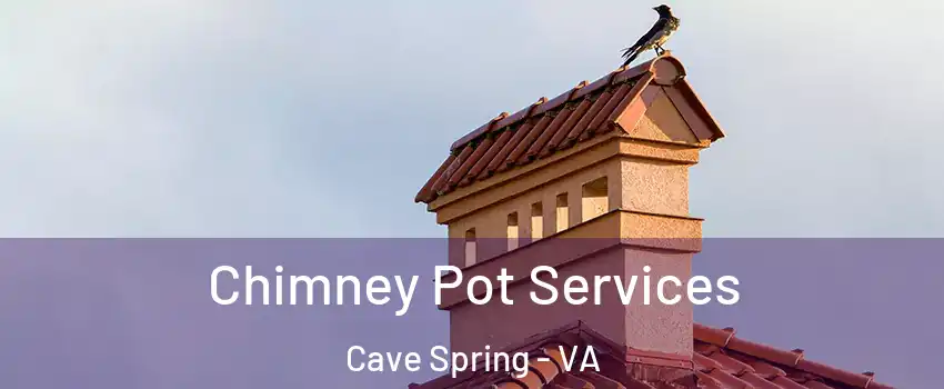  Chimney Pot Services Cave Spring - VA