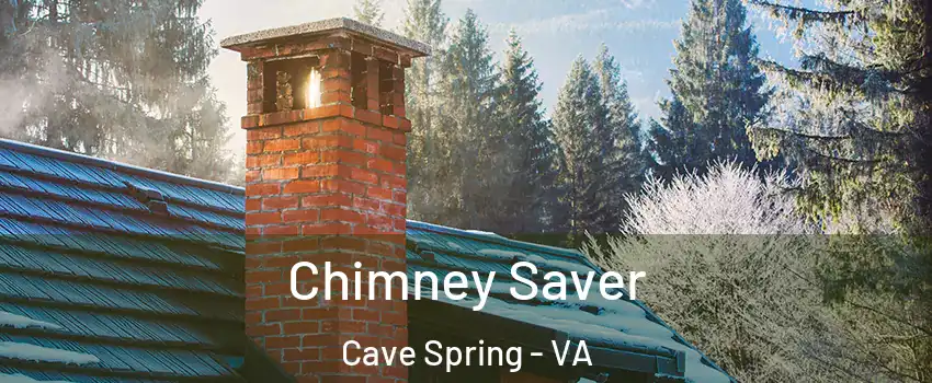  Chimney Saver Cave Spring - VA