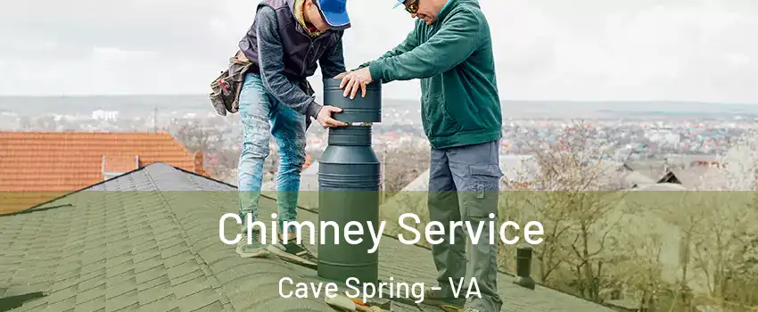  Chimney Service Cave Spring - VA