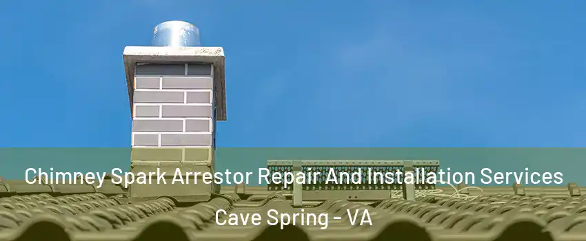  Chimney Spark Arrestor Repair And Installation Services Cave Spring - VA