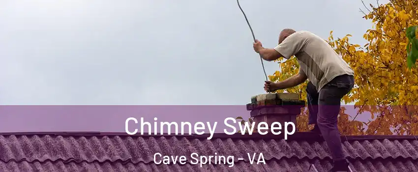  Chimney Sweep Cave Spring - VA