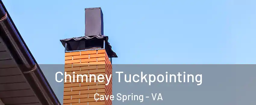  Chimney Tuckpointing Cave Spring - VA