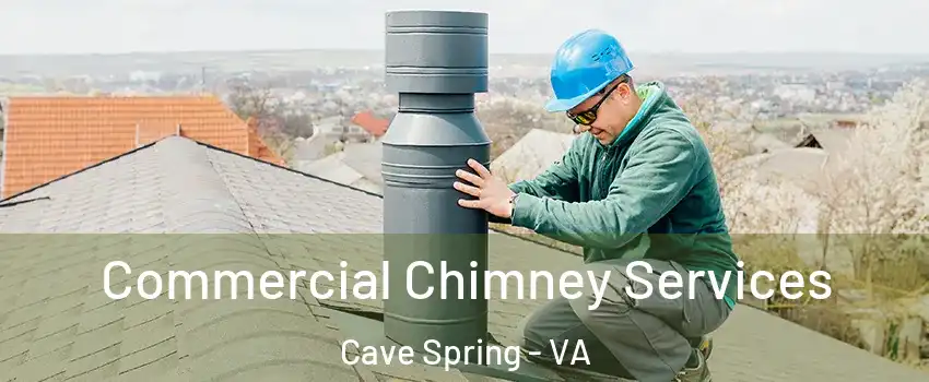  Commercial Chimney Services Cave Spring - VA