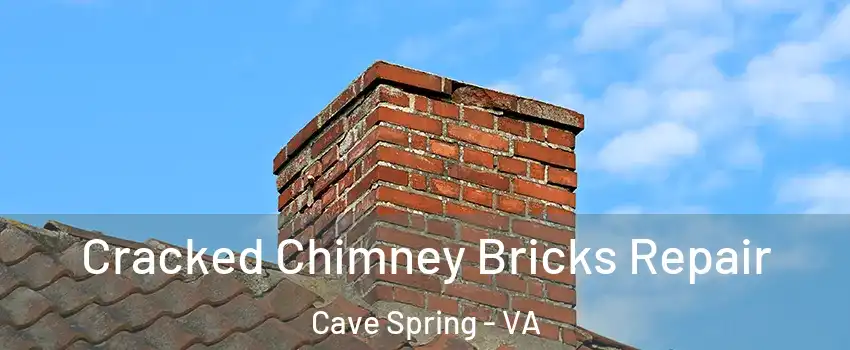 Cracked Chimney Bricks Repair Cave Spring - VA