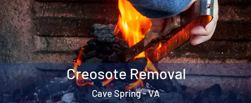  Creosote Removal Cave Spring - VA