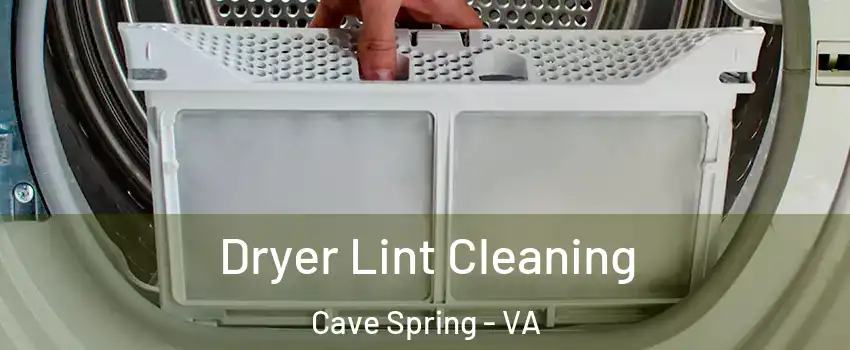  Dryer Lint Cleaning Cave Spring - VA