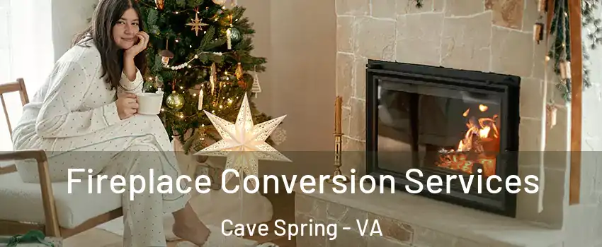  Fireplace Conversion Services Cave Spring - VA