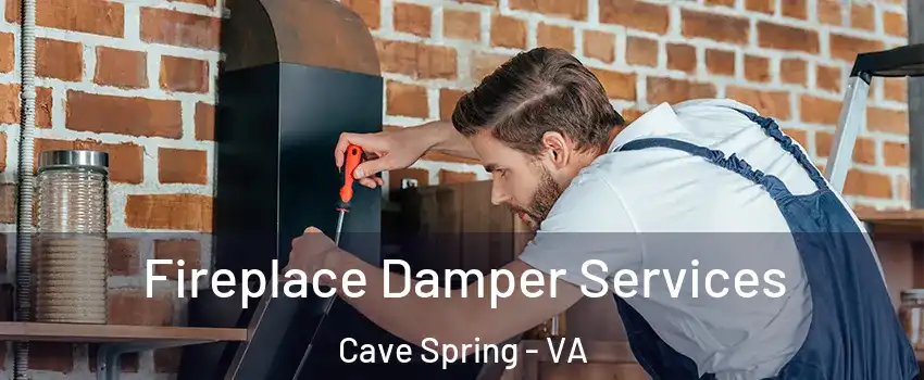  Fireplace Damper Services Cave Spring - VA