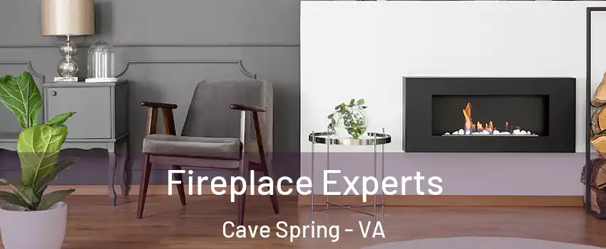  Fireplace Experts Cave Spring - VA