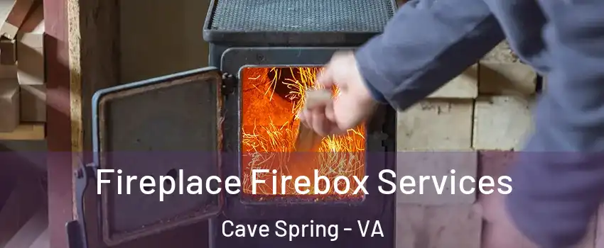  Fireplace Firebox Services Cave Spring - VA