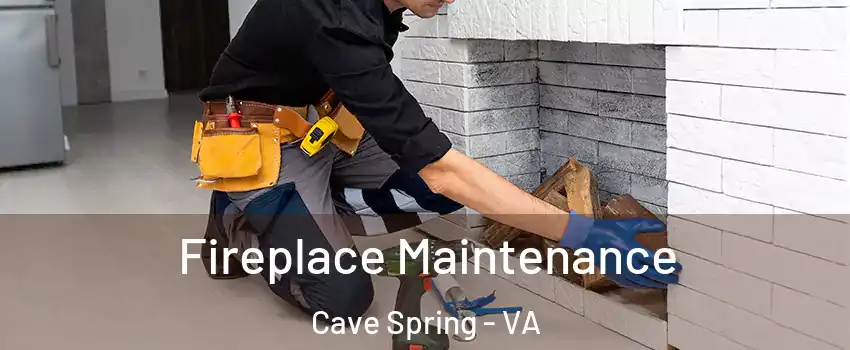  Fireplace Maintenance Cave Spring - VA