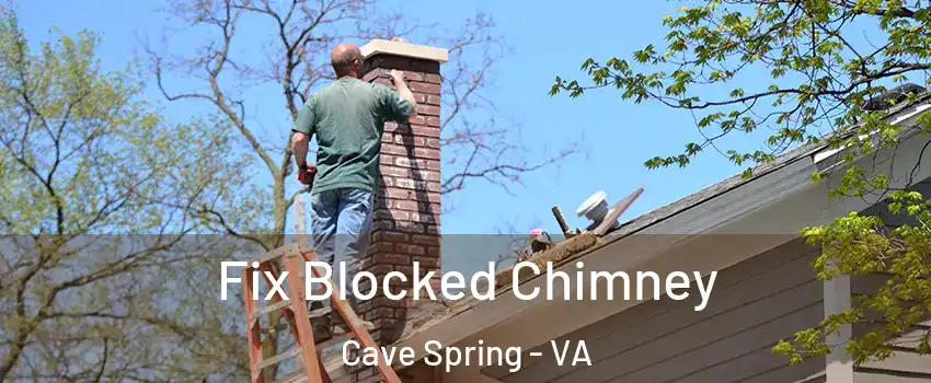  Fix Blocked Chimney Cave Spring - VA