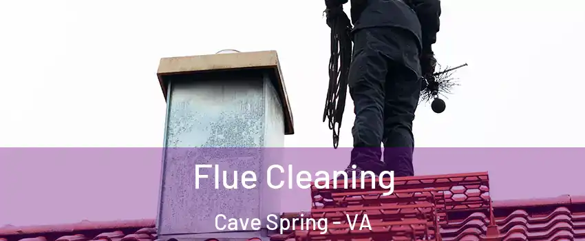  Flue Cleaning Cave Spring - VA