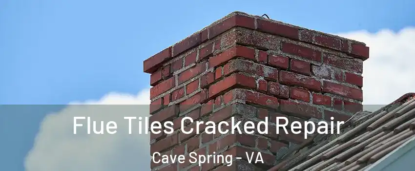  Flue Tiles Cracked Repair Cave Spring - VA