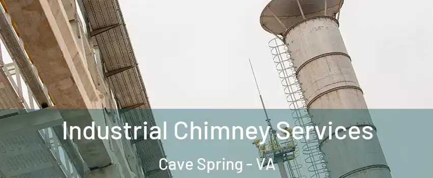  Industrial Chimney Services Cave Spring - VA