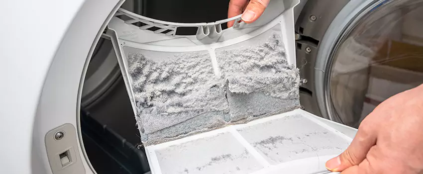 Best Dryer Lint Removal Company in Cave Spring, Virginia