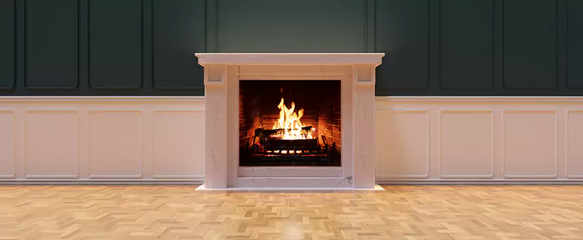Napoleon Electric Fireplaces Inspection Service in Cave Spring, Virginia