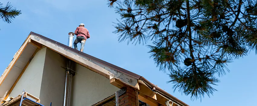 Birds Removal Contractors from Chimney in Cave Spring, VA