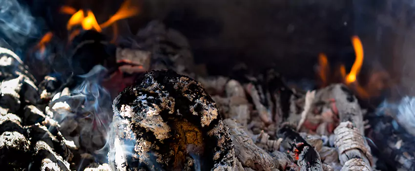 Creosote Removal Experts in Cave Spring, VA