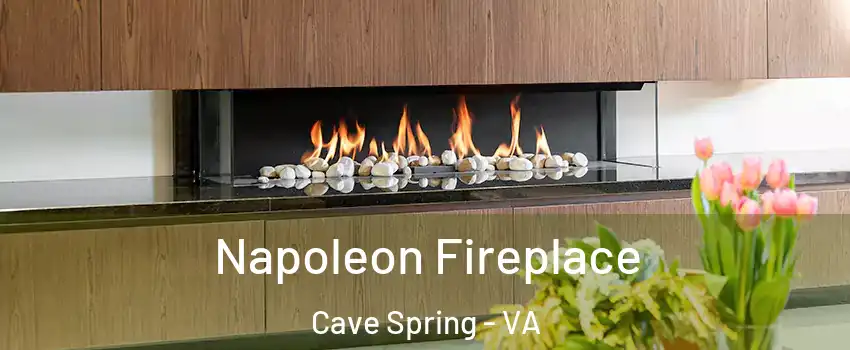  Napoleon Fireplace Cave Spring - VA
