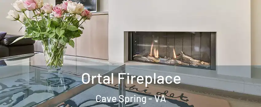  Ortal Fireplace Cave Spring - VA
